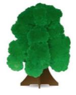 Чудесное дерево зеленое